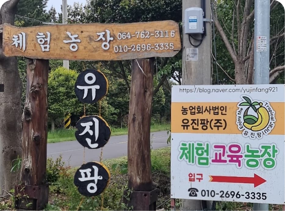 유진팡